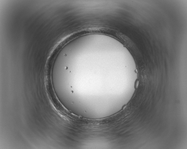 X0000063460728200602101714