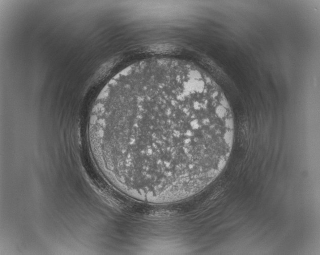 X0000063460734200602101714