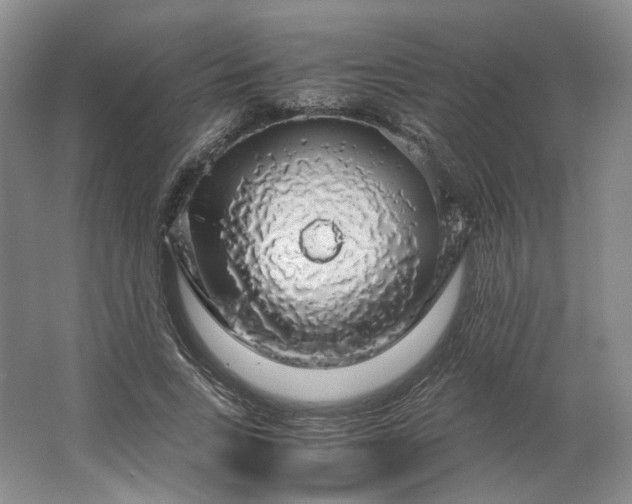 X0000063460735200602101714