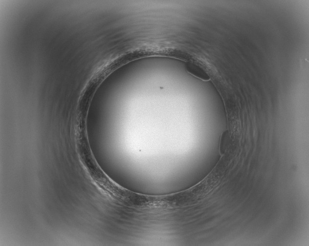 X0000063460736200602101714