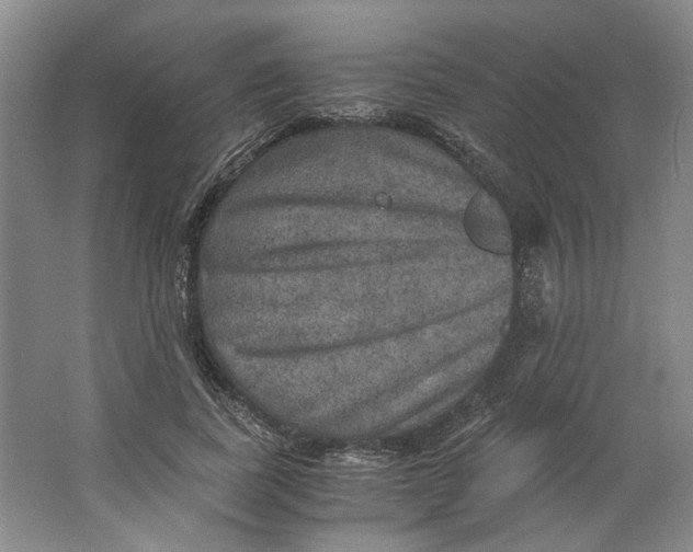 X0000063460739200602101714