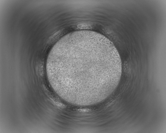 X0000063460741200602101714
