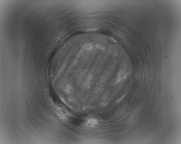 X0000063460743200602101714