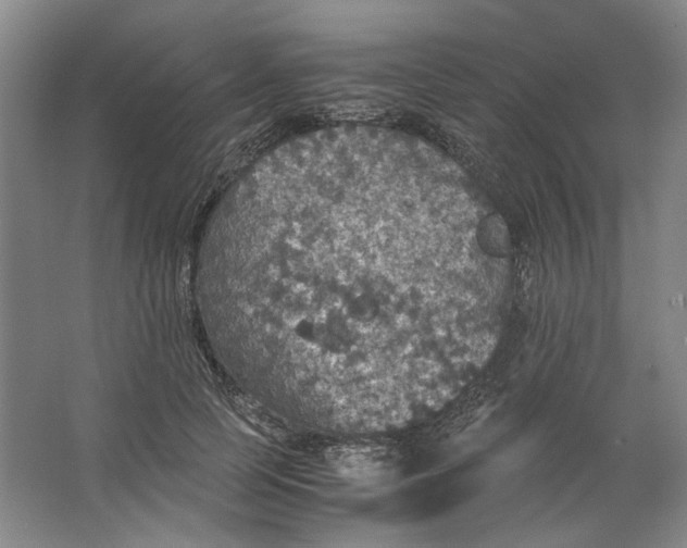 X0000063460745200602101714