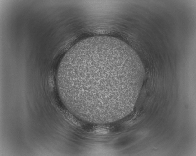 X0000063460746200602101714