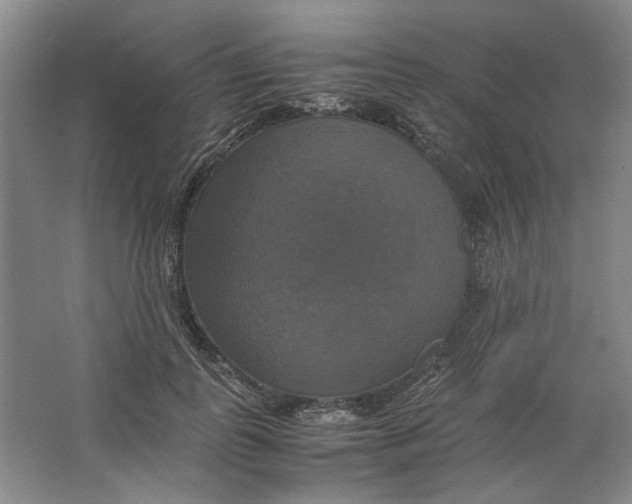 X0000063460747200602101714