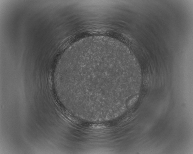 X0000063460749200602101714