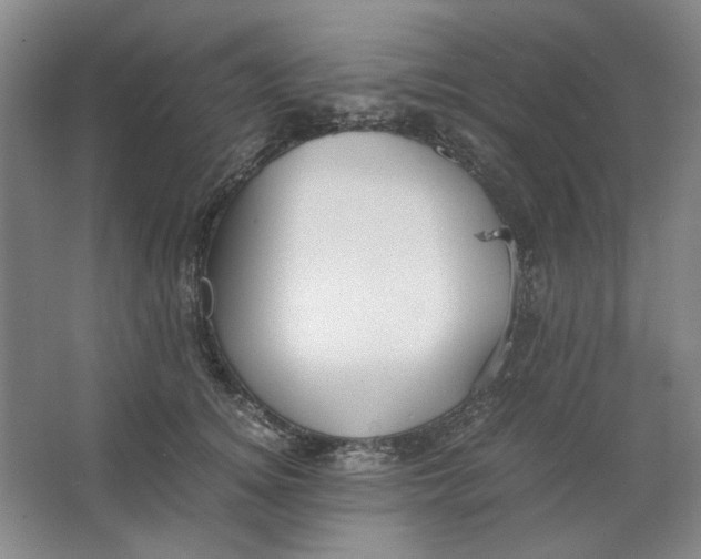 X0000063460756200602101714