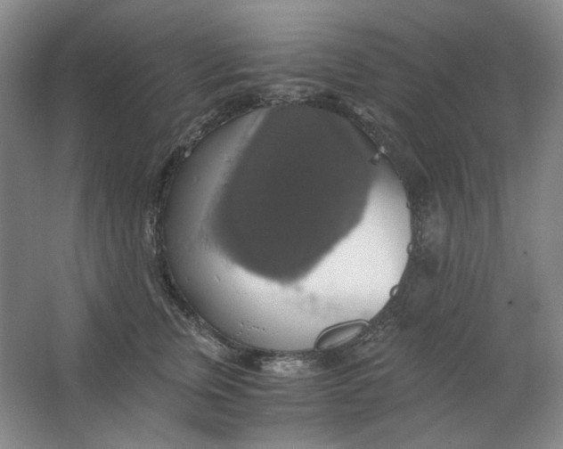 X0000063460759200602101714