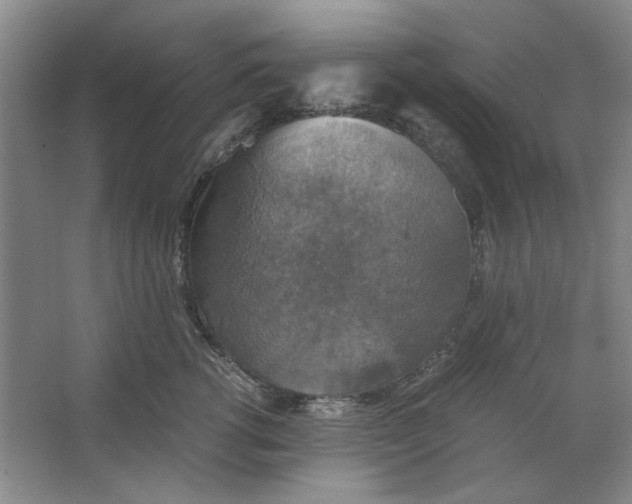 X0000063460762200602101714