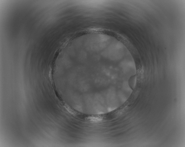 X0000063460765200602101714