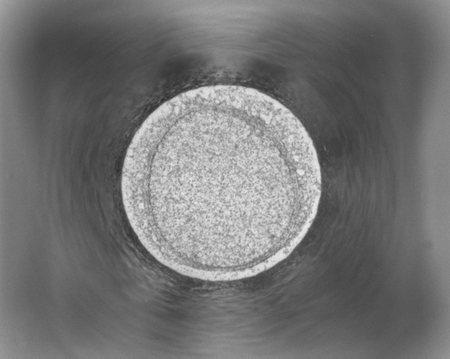 X0000063460769200602101713