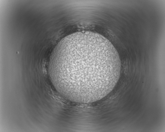 X0000063460770200602101713