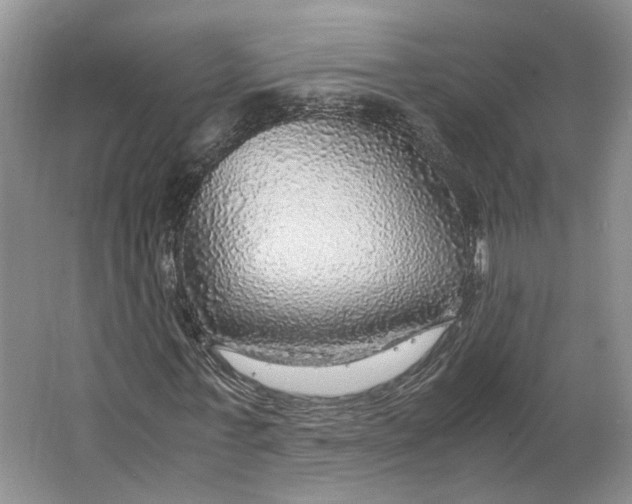 X0000063460771200602101713
