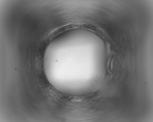 X0000063460773200602101713