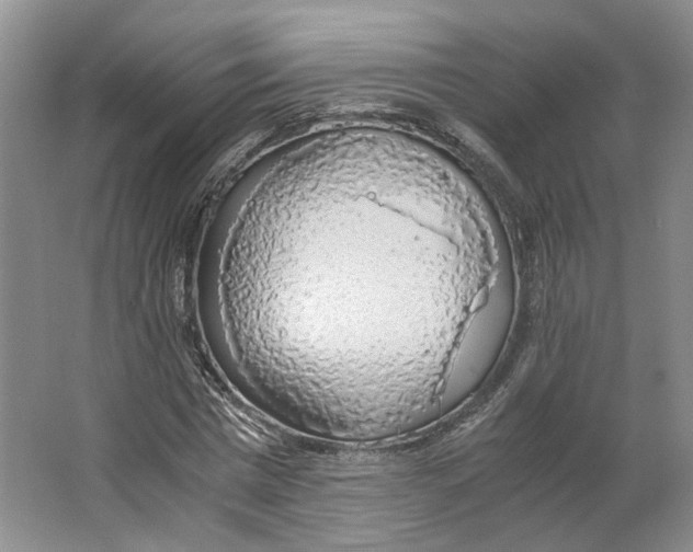 X0000063460777200602101713