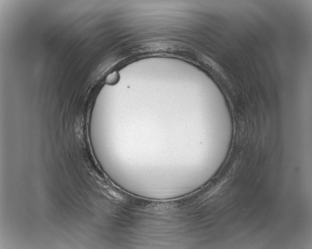 X0000063460778200602101713