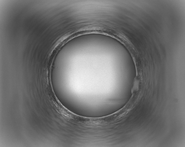 X0000063460781200602101713