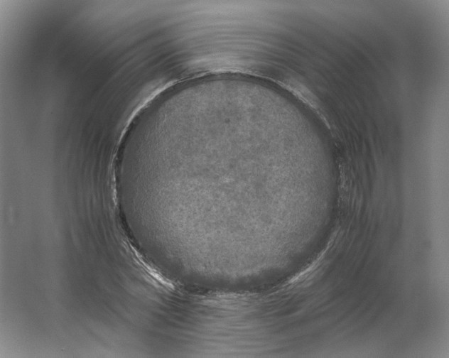 X0000063460782200602101713