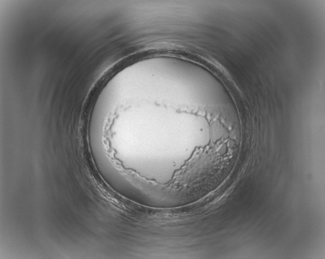 X0000063460783200602101713