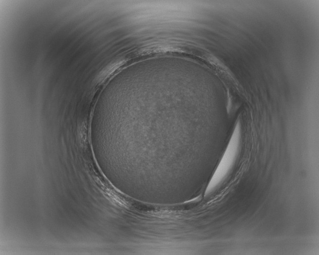 X0000063460785200602101713