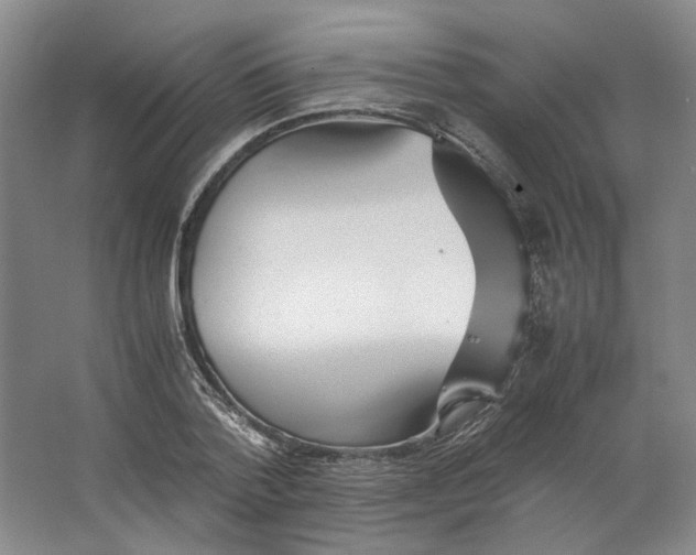 X0000063460788200602101713