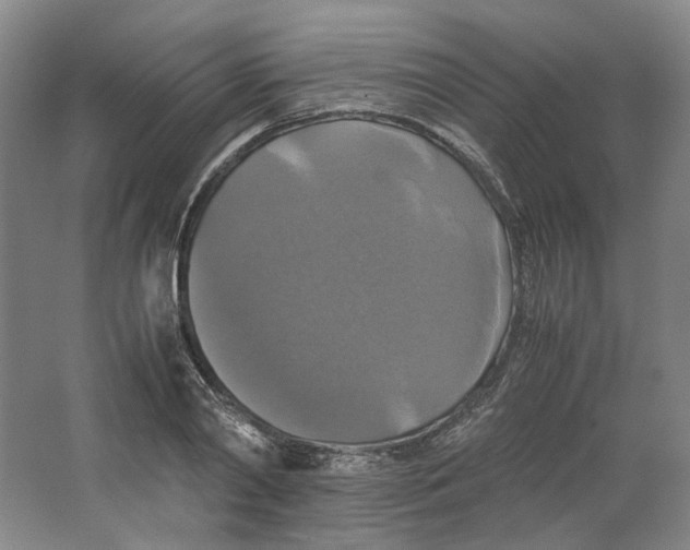 X0000063460790200602101713