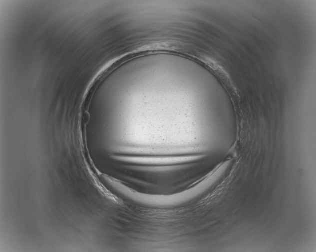 X0000063460792200602101713