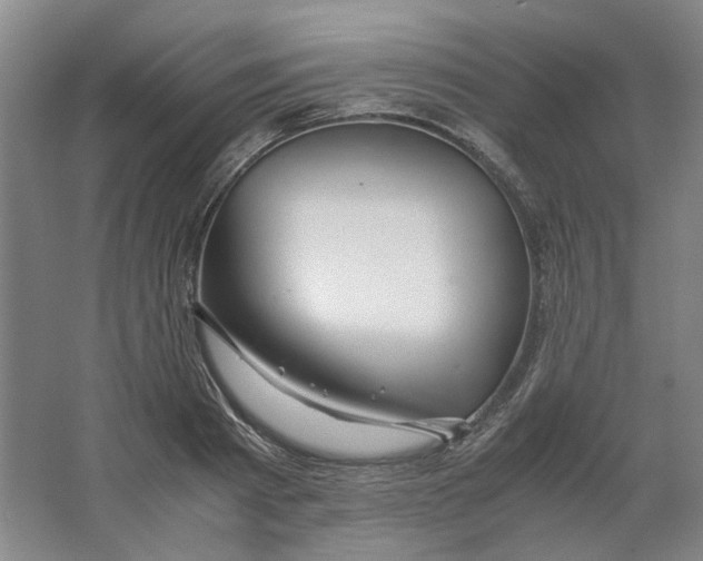 X0000063460793200602101713
