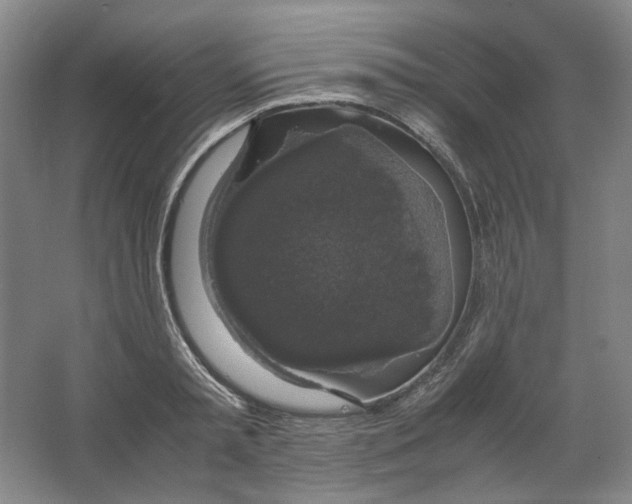 X0000063460797200602101713
