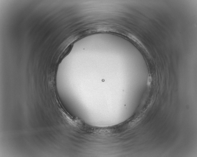 X0000063460801200602101713