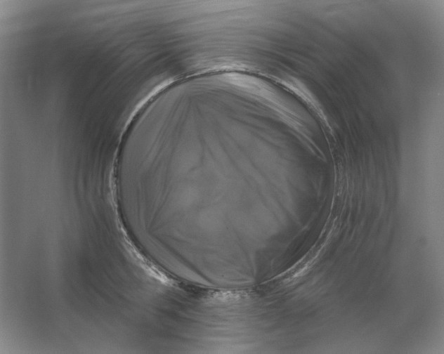 X0000063460806200602101713