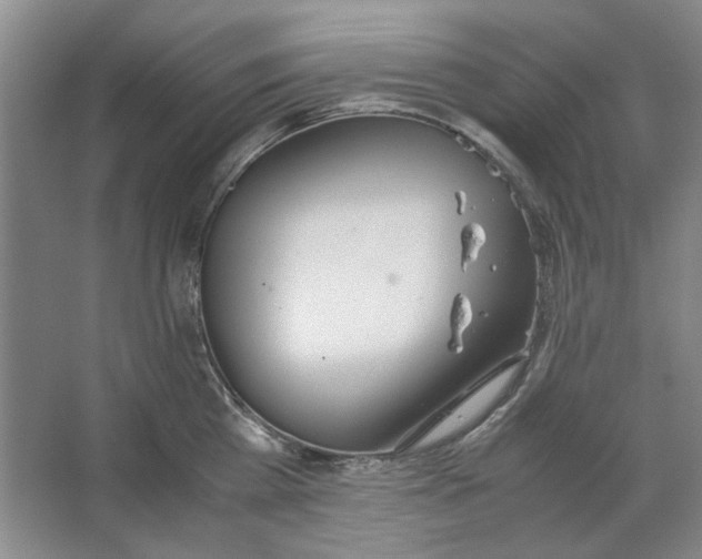 X0000063460809200602101713