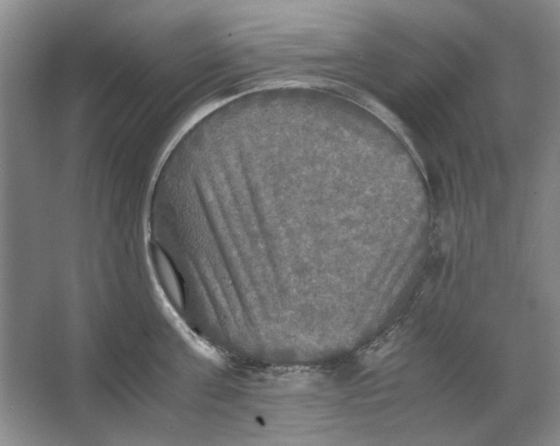 X0000063460811200602101713
