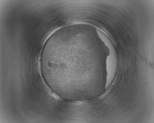 X0000063460814200602101713