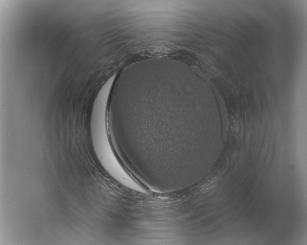 X0000063460818200602101712