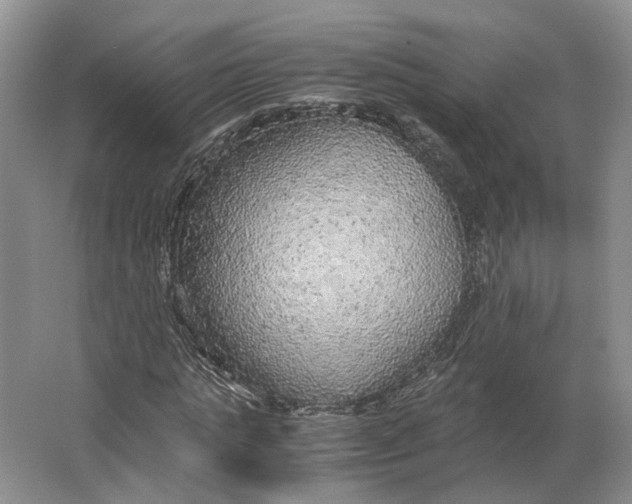 X0000063460821200602101712