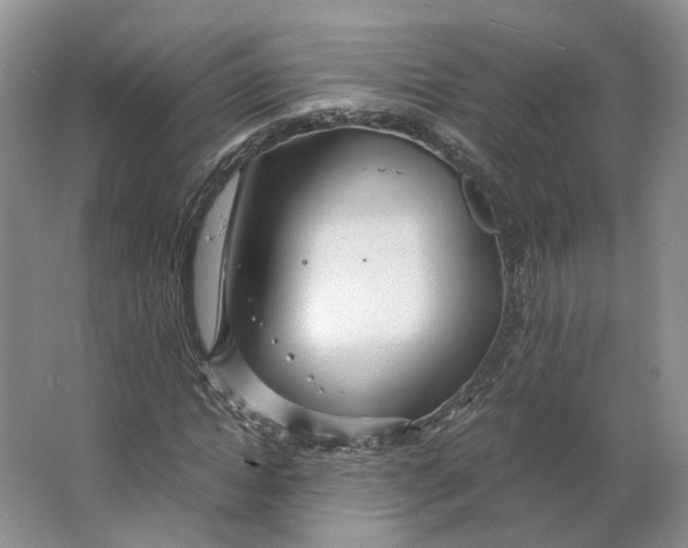 X0000063460822200602101712