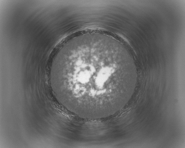 X0000063460823200602101712