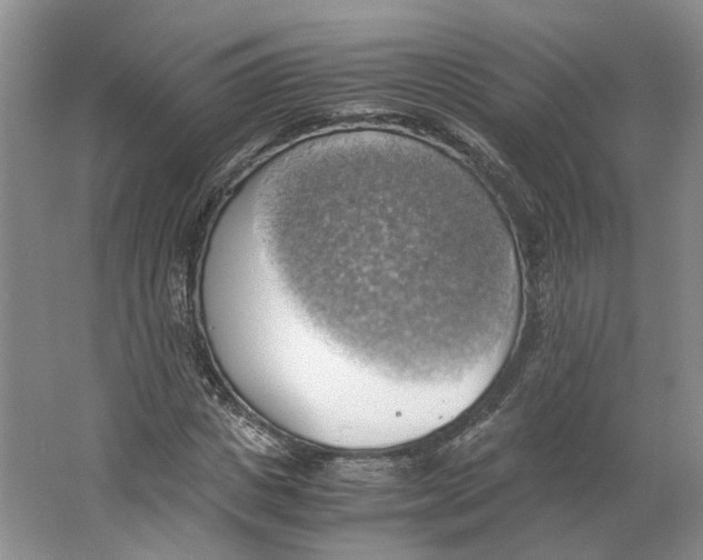 X0000063460825200602101712