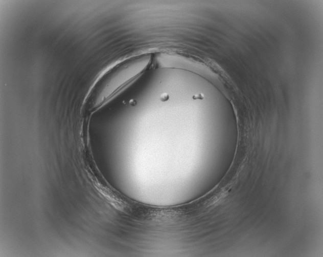 X0000063460830200602101712