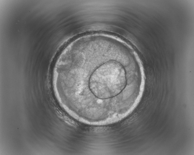 X0000063460832200602101712