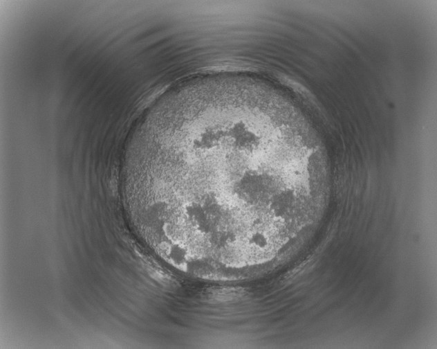 X0000063460833200602101712