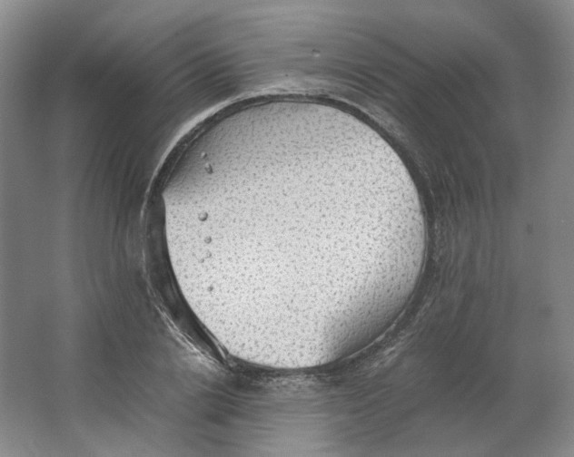 X0000063460838200602101712