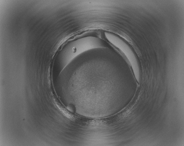 X0000063460842200602101712