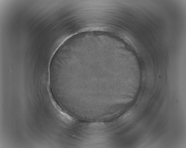 X0000063460844200602101712