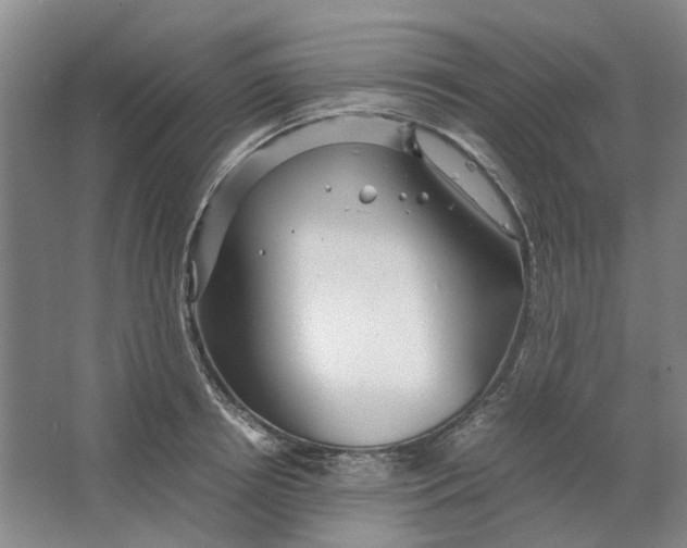X0000063460850200602101712