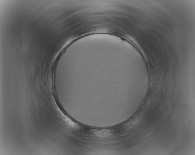 X0000063460851200602101712