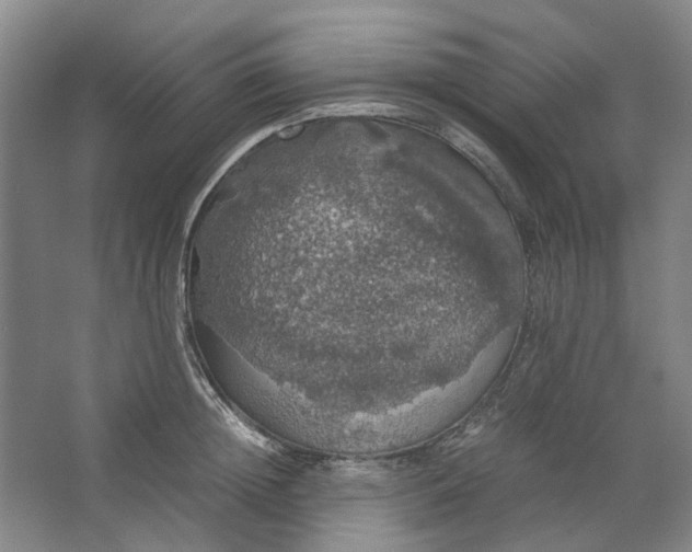 X0000063460852200602101712