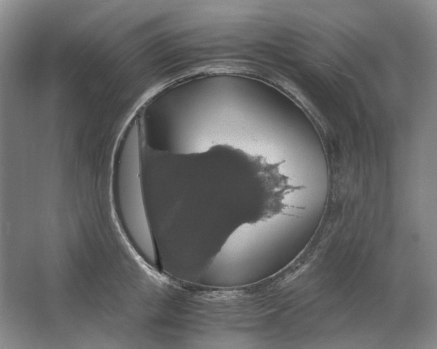 X0000063460853200602101712